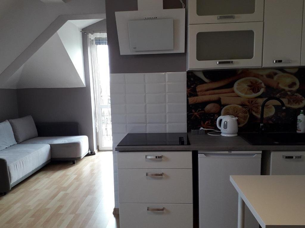 Apartament Maria 克拉科夫 外观 照片